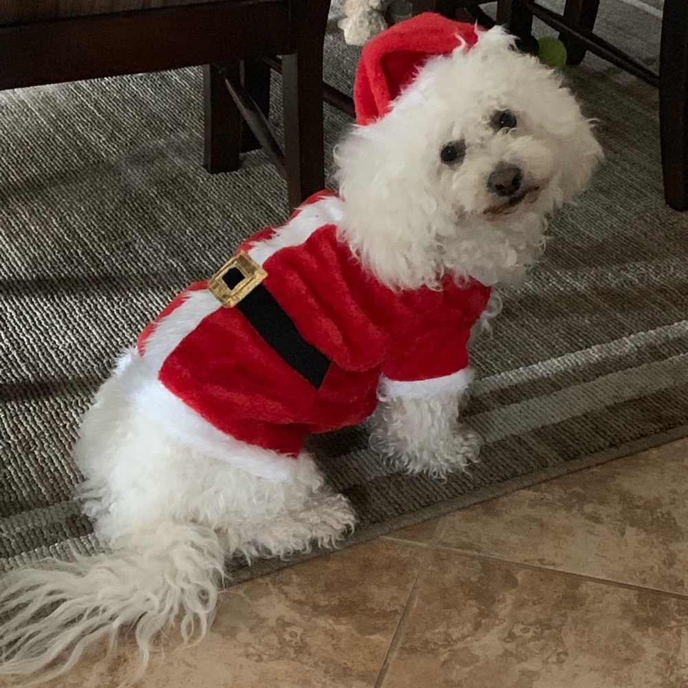 Meet your Posher, Discount